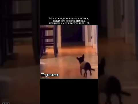 Не, ну это совсем никуда не годится #химияегэ #егэхимия