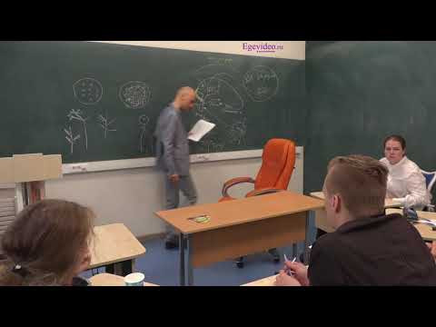 Систематизация знаний перед ЕГЭ-2019. Часть 18