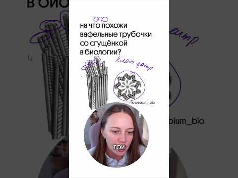 полезные материалы в тгк: webium_bio #биология #биологияегэ #химбио полезные материалы в тгк: webium_bio #биология #биологияегэ #химбио
