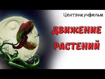 Движение растений. Тропизмы и настии (Центрнаучфильм)