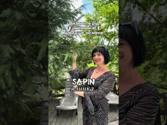 Пишіть ІМЕННИК і забирайте секрети визначених роду 