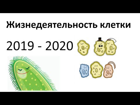 6. Жизнь клетки (5 класс) - введение в Биологию 6. Жизнь клетки (5 класс) - введение в Биологию