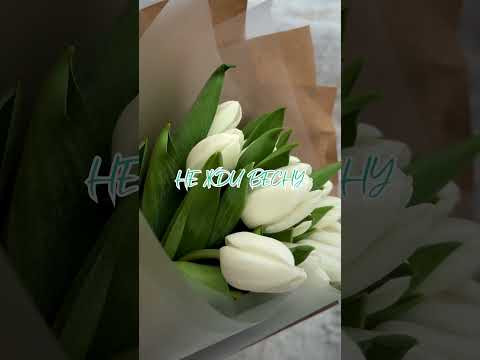 Весна пришла #весна #8марта Весна пришла #весна #8марта