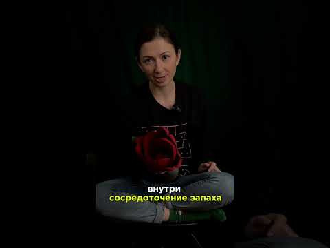 Почему цветы такие яркие? Почему цветы такие яркие?
