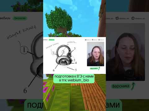 Сохраняй! Эта картинка попадется на ЕГЭ ❤️ Сохраняй! Эта картинка попадется на ЕГЭ ❤️