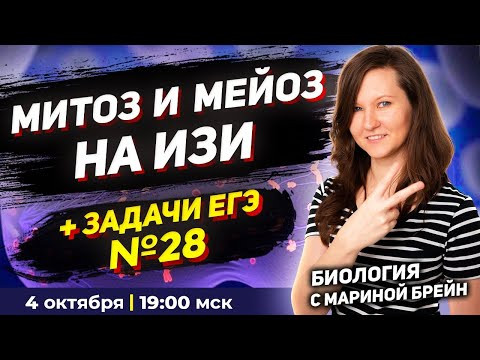 МИТОЗ И МЕЙОЗ НА ИЗИ ИНТЕНСИВ ЕГЭ