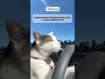 Как перестать бояться говорить по-немецки
