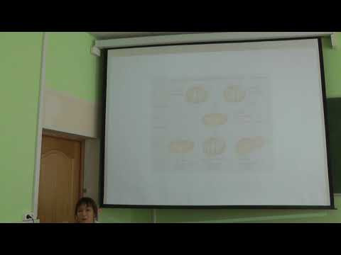 Генетика. Основы хромосомной теории наследственности. Нефедова Л. Н. edit