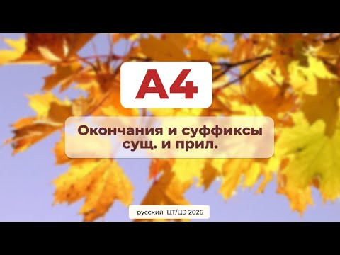 А4 А4