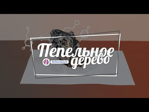Пепельное дерево | Химический опыт