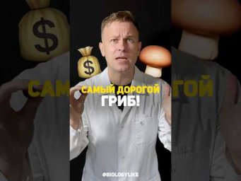 Самый дорогой гриб? #трюфель #биология #грибы #научныеистории
