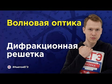 Дифракционная решётка | ЕГЭ Физика | Николай Ньютон