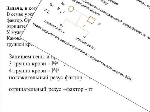 РЕШЕНИЕ ЗАДАЧ НА ГРУППЫ КРОВИ И РЕЗУС - ФАКТОР