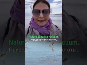 Как будет по-английски: &ldquo;Свято место пусто не бывает&rdquo;? #наташакупер