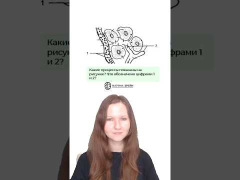 Что это? Сможете угадать?‼️90% учеников не знают, но это есть в ЕГЭ по биологии! #биология #егэ2026 Что это? Сможете угадать?‼️90% учеников не знают, но это есть в ЕГЭ по биологии! #биология #егэ2026