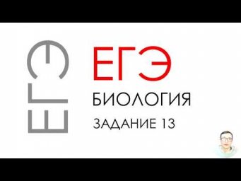 ЕГЭ биология 2020 Задание 13 Рохлов разбор