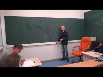 2. Что такое шишка у голосеменных?