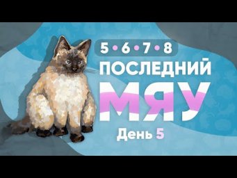 Последний мяу: финальный курс. ЕГЭ 2023: русский язык. День 5. Задания 5, 8, 6 и 7 [ЗАПИСЬ БУДЕТ]