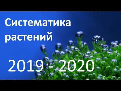 15. Систематика растений (6 класс) - биология, подготовка к ЕГЭ и ОГЭ 2020