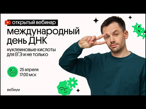 Нуклеиновые кислоты: строение и функции | ЕГЭ по биологии 2021