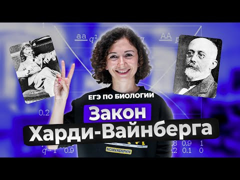 Закон Харди-Вайнберга. Теория и разбор задач для ЕГЭ 2024