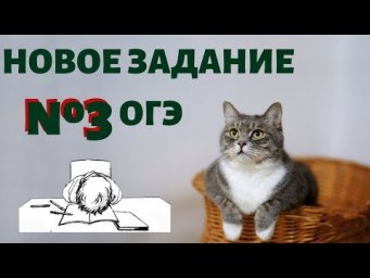 НОВОЕ ЗАДАНИЕ №3 ОГЭ по русскому языку [IrishU]