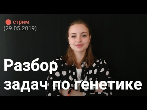 Разбор задач по генетике Разбор задач по генетике