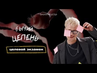 ТИП ПЛОСКИЕ ЧЕРВИ. БЫЧИЙ ЦЕПЕНЬ | Целевой экзамен
