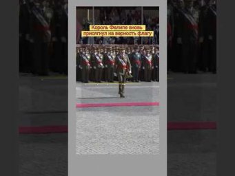 Король Испании вновь присягает национальному флагу 