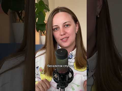 Голосеменные растения за 1 минуту!