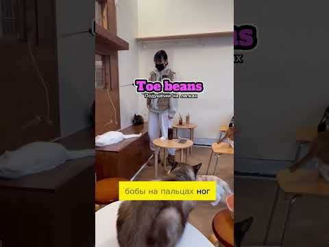 Как будет тыгыдык на английском?#английский #английскийдляначинающих  #инглиш #английскийонлайн