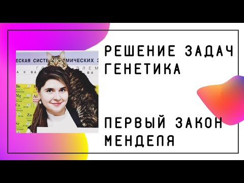 Первый закон Менделя Генетика ЕГЭ по биологии Генотип Фенотип Репетитор по химии Ирина Владимировна