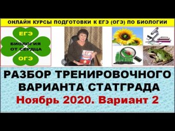 ВАРИАНТ №2. СТАТГРАД. НОЯБРЬ 2020. ПОДРОБНЫЙ РАЗБОР
