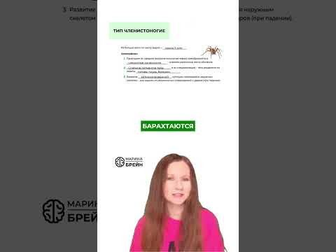 ЗАЧЕМ НУЖЕН ХИТИН #биологияегэ #биология #зоология