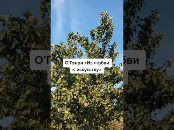 Подборка коротких рассказов 