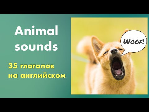 Как сказать ЛАЯТЬ, МЯУКАТЬ, ХРЮКАТЬ и не только по-английски. Animal sounds in English