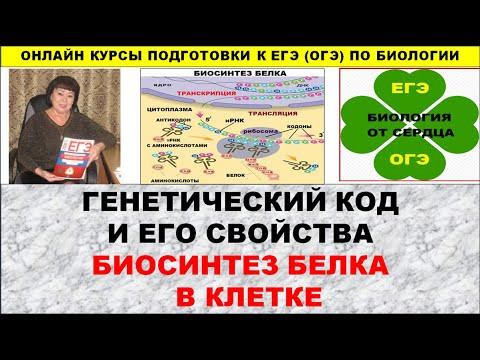 ГЕНЕТИЧЕСКИЙ КОД. БИОСИНТЕЗ БЕЛКА