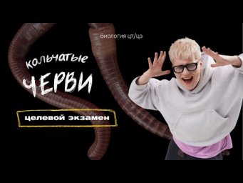 ТИП КОЛЬЧАТЫЕ ЧЕРВИ. ДОЖДЕВОЙ ЧЕРВЬ | Целевой экзамен