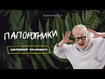 ПАПОПРОТНИКИ | Целевой экзамен