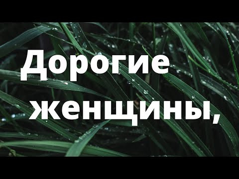 Дорогие женщины, ...