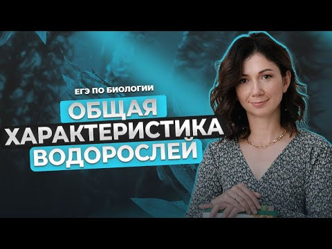 ДАЖЕ У ВОДОРОСЛИ ЕСТЬ ЦЕЛЬ! А У ТЕБЯ?