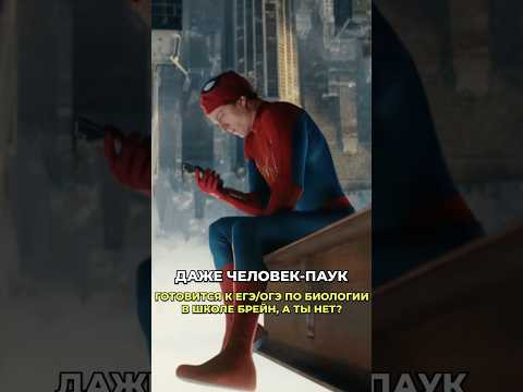 Человек-паук уже записался к нам на курс) Старт 7 сентября! ❤️ #биология #биологияегэ #биология #огэ