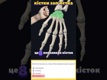 Підготовка до НМТ з біології 2026.  #biology #нмт #нмтбіологія #скелет