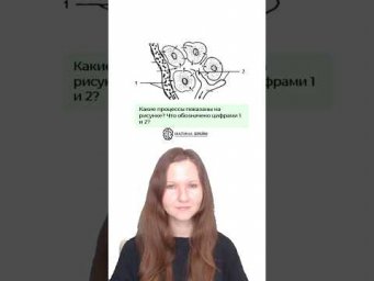 Что это? Сможете угадать?‼️90% учеников не знают, но это есть в ЕГЭ по биологии! #биология #егэ2026