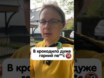 Як перекладається &laquo;der Schwanz&rdquo; німецькою? #німецька #німецькамова #вчительукраїнської