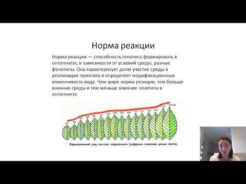 Что такое норма реакции за 2 минуты