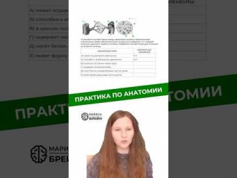 ПРАКТИКА ПО АНАТОМИИ #биологияегэ #биология #анатомия