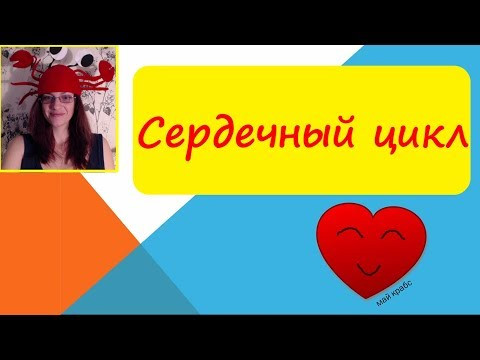 Сердечный цикл. Клапаны сердца