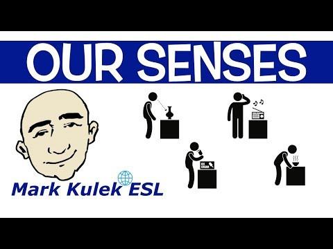 Our Senses - smell, sound, pain, itch + more | Mark Kulek - ESL