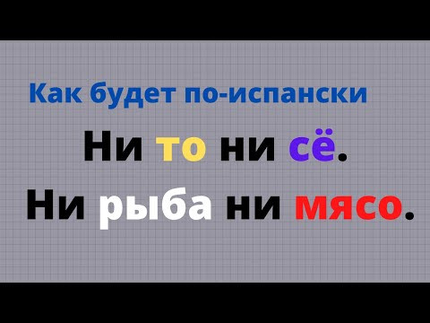 Как будет по испански Ни то ни сё. Ни рыба ни мясо. #shorts